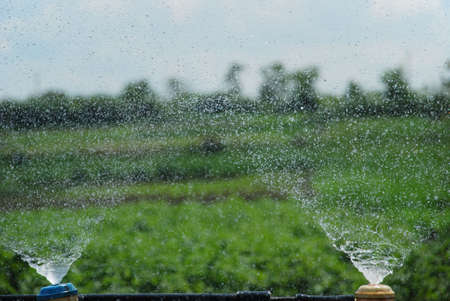 Irrigation system throwing water dropsの写真素材