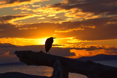 Sunset Aloneの写真素材