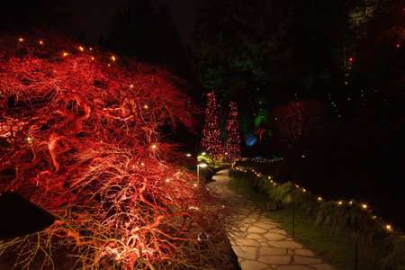 Christmas Eve in  Butchart Gardensの写真素材