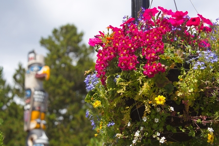 Government House park in Victoria, BCの写真素材
