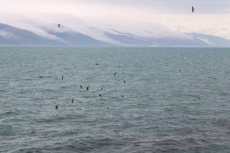 Armenia seen through the lense of my cameraの写真素材