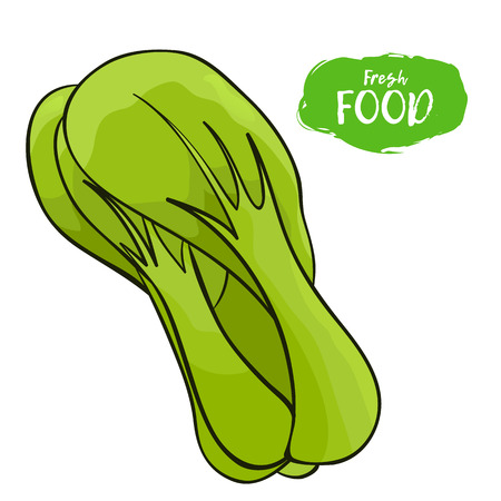 Green illustration of a vegetable on a white backgroundのイラスト素材