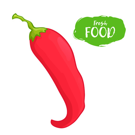 Colored illustration of hot pepper on a white backgroundのイラスト素材