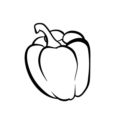 Vector hand drawn illustration of a peper. Outline doodle icon. Food sketch for print, web, mobile and infographics. Isolated on white background element.のイラスト素材
