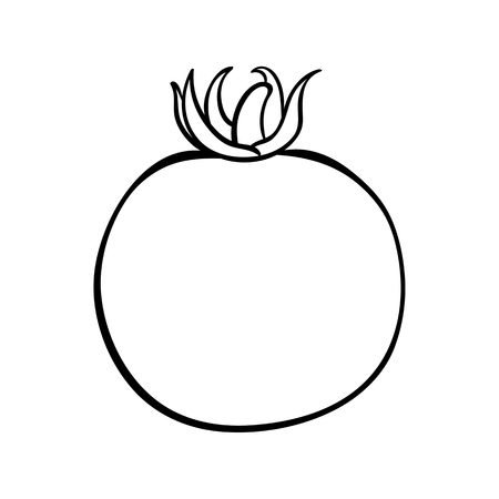 Vector hand drawn illustration of a tomato. Outline doodle icon. Food sketch for print, web, mobile and infographics. Isolated on white background element.のイラスト素材