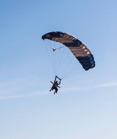 Skydivers in the sky on a summer dayの写真素材