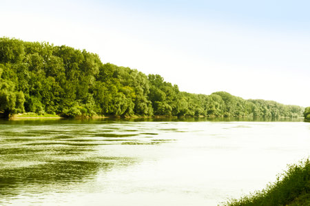Dnestr river on a sunny day on a hot summer