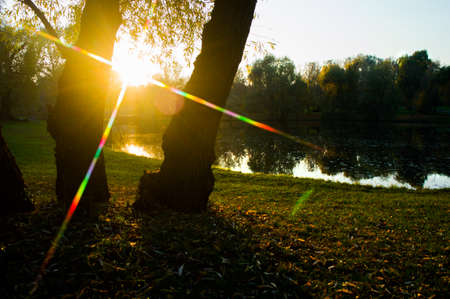 Beautiful rays of the sun between the trees in the park by the lake.の写真素材
