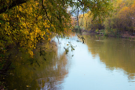 Landscape of the autumn river in the country.