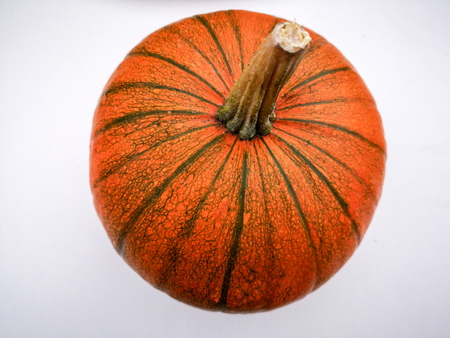 Mature pumpkin plant isolated on a white backgroundの写真素材