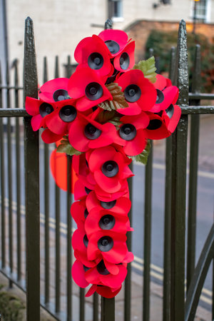 An arrangement of poppies placed on a park-gate in commemoration of the ending of the Great War