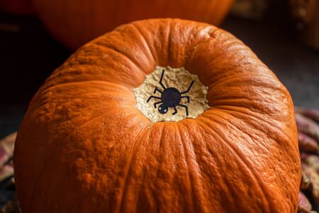A large black spider sitting on top of a pumpkin at Halloweenの写真素材