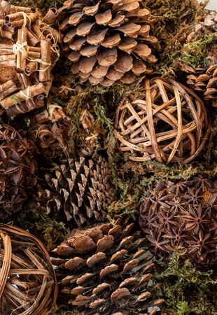 Top-down view of eight pine cones on a bed of sphagnum mossの写真素材