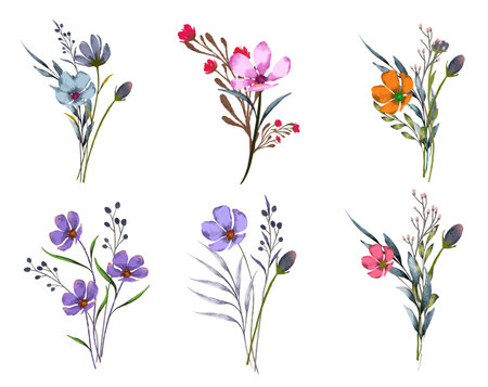 Watercolor bouquets of wildflowers. Hand drawn illustrationのイラスト素材