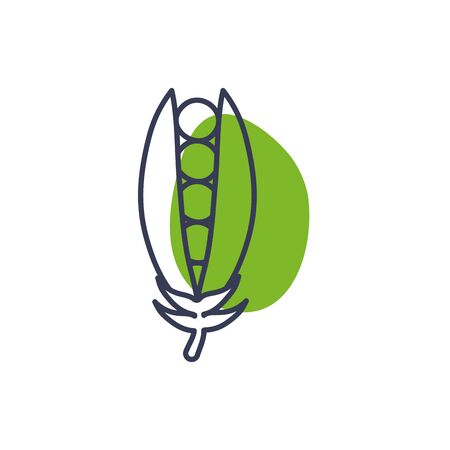 beans line color style icon design, Vegetable organic food healthy fresh natural and market theme Vector illustrationのイラスト素材