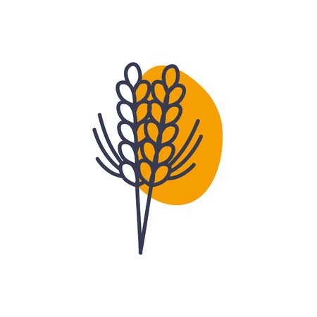 Wheat ear color line color style icon design, Food grain agriculture natural seed plant organic and corn theme Vector illustrationのイラスト素材