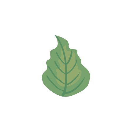 Isolated natural leaf fill style icon design of Floral nature plant garden ornament botany decoration and life theme Vector illustrationのイラスト素材