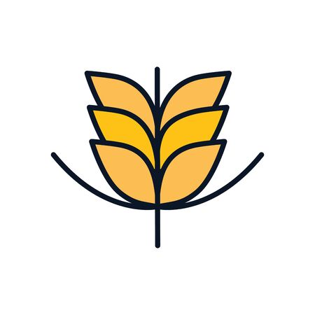 wheat ear line fill style icon design, agronomy farm lifestyle agriculture harvest rural farming and country theme Vector illustrationのイラスト素材