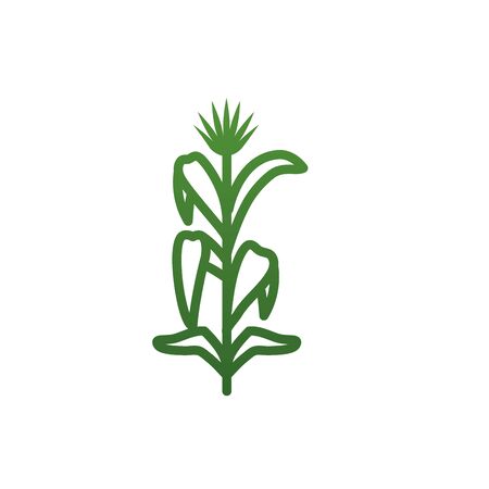Isolated natural leaves gradient style icon design of Floral nature plant garden ornament botany decoration and life theme Vector illustrationのイラスト素材