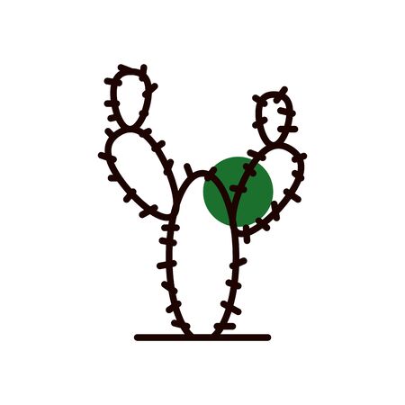 Cactus half line half color style icon design, Plant desert nature tropical summer mexico and western theme Vector illustrationのイラスト素材