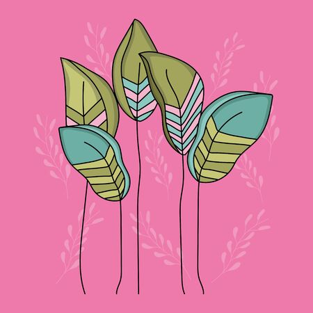 Botanical leaves over pink background design of Floral nature plant garden ornament botany decoration and life theme Vector illustrationのイラスト素材