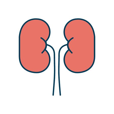 kidney organ icon over white background, line and fill style, vector illustrationのイラスト素材