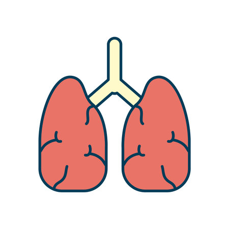 lungs organ icon over white background, line and fill style, vector illustrationのイラスト素材