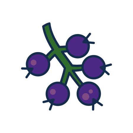 fruits and vegetables concept, branch with blueberries icon over white background, line and fill style, vector illustrationのイラスト素材
