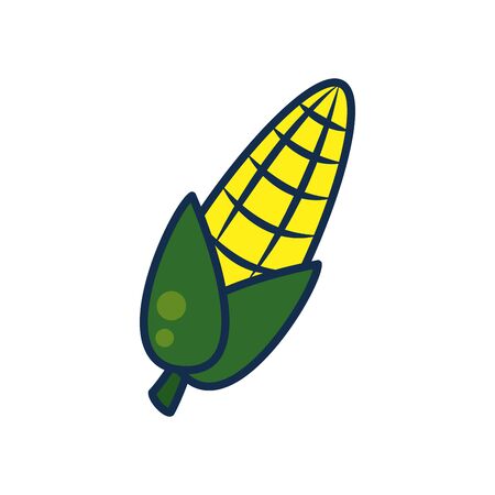 vegetables and fruits concept, corn icon over white background, line and fill style, vector illustrationのイラスト素材
