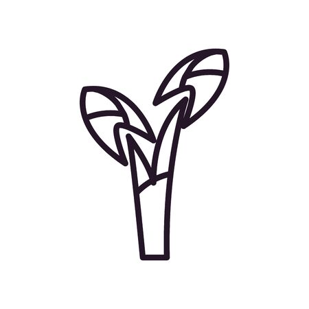 leaves line style icon design of Floral nature plant garden ornament botany decoration and life theme Vector illustrationの写真素材