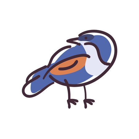 bird cartoon flat style icon design, Animal feather wildlife and beak theme Vector illustrationの写真素材