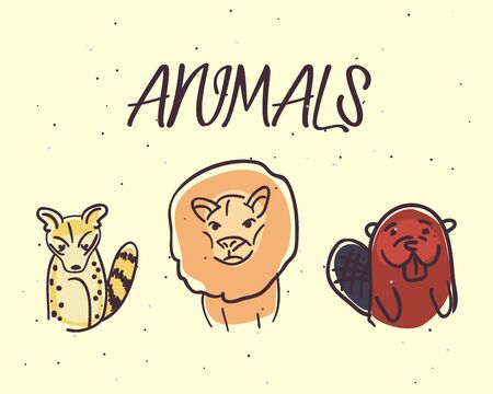 genet cat lion and beaver cartoons design, Animals and zoo theme Vector illustrationの写真素材
