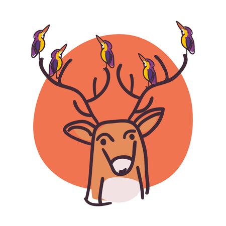 reindeer cartoon with birds design, Animal zoo and life theme Vector illustrationの写真素材