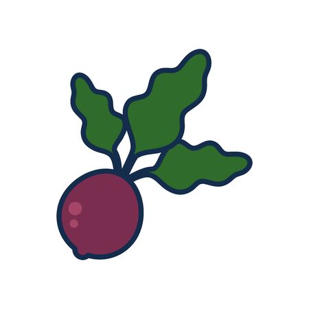 fruits and vegetables concept, beet icon over white background, line and fill style, vector illustrationの写真素材