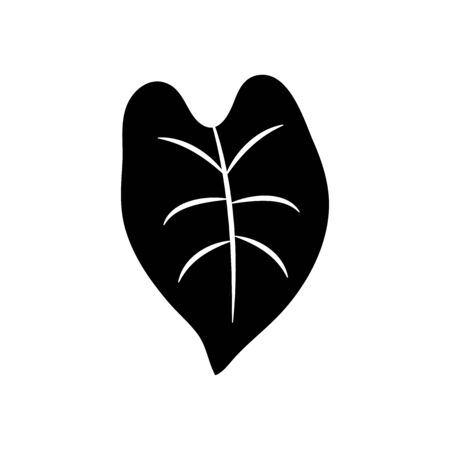 colocasia leaf icon over white background, silhouette style, vector illustrationのイラスト素材