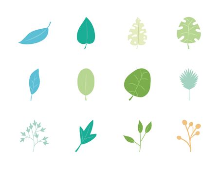 palm leaves and tropical leaves icon set over white background, flat style, vector illustrationのイラスト素材