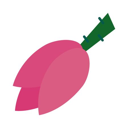 tropical flower icon over white background, flat style, vector illustrationのイラスト素材