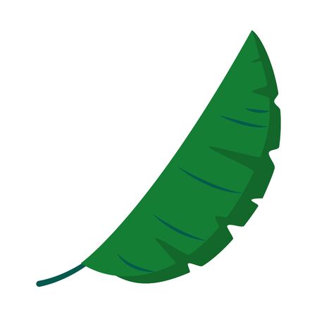 sago leaf icon over white background, flat style, vector illustrationのイラスト素材