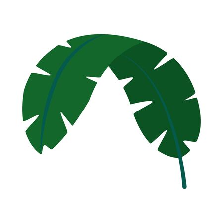 banana leaf icon over white background, flat style, vector illustrationのイラスト素材