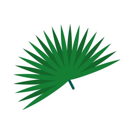 palmetto fan leaf icon over white background, flat style, vector illustrationのイラスト素材