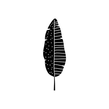 abstract leaves concept, banana leaf with stripes and dots design over white background, silhouette style, vector illustrationのイラスト素材