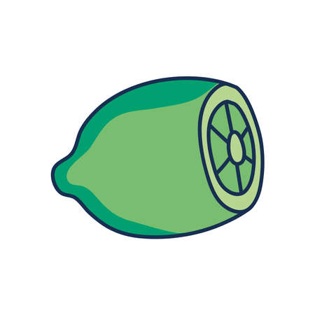lemon icon over white background, line fill style, vector illustrationのイラスト素材