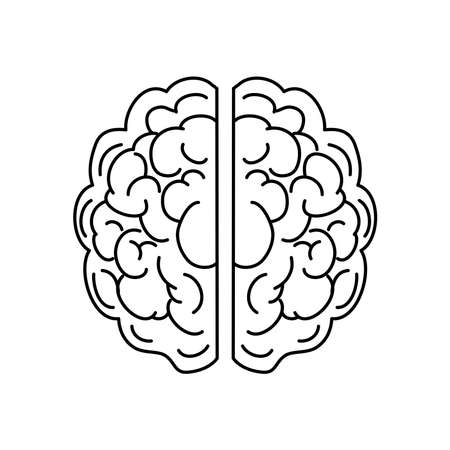human brain icon over white background, line style, vector illustrationのイラスト素材