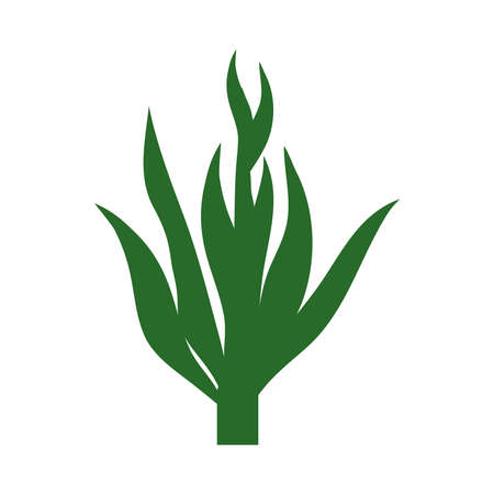 tropical leaf flat style icon design of Natural floral nature and plant theme Vector illustrationのイラスト素材