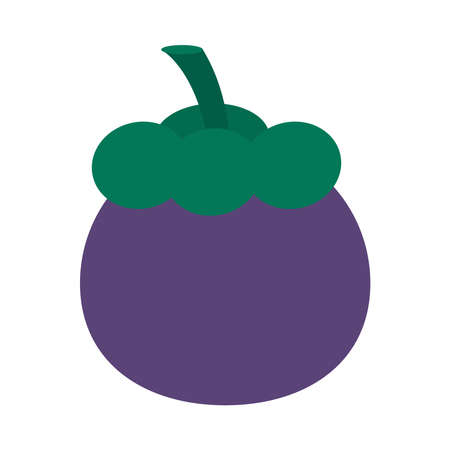 mangosteen fruit icon over white background, flat style, vector illustrationのイラスト素材