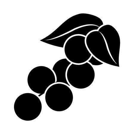 branch with cherries icon over white background, silhouette style, vector illustrationのイラスト素材
