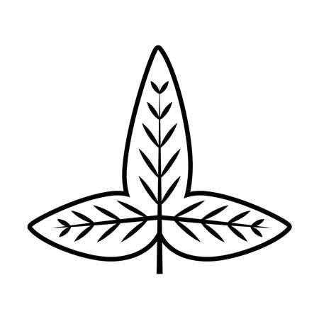 tropical leaf line style icon design of Natural floral nature and plant theme Vector illustrationのイラスト素材