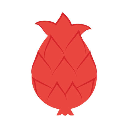 dragon fruit icon over white background, flat style, vector illustrationのイラスト素材