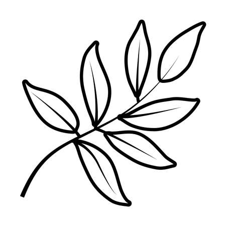 tropical leaf line style icon design of Natural floral nature and plant theme Vector illustrationのイラスト素材