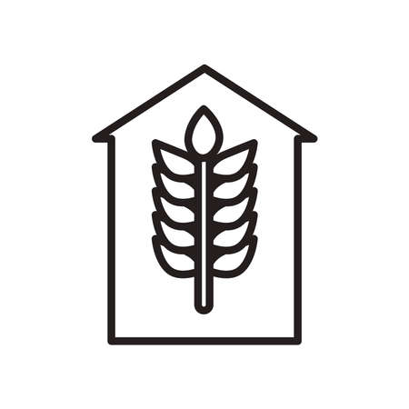 Wheat ear in farm line style icon design, Food grain agriculture natural seed plant organic and corn theme Vector illustrationのイラスト素材